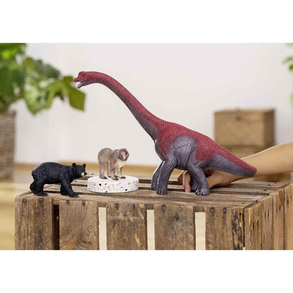 Schleich Dinosaur - Brachiosaurus