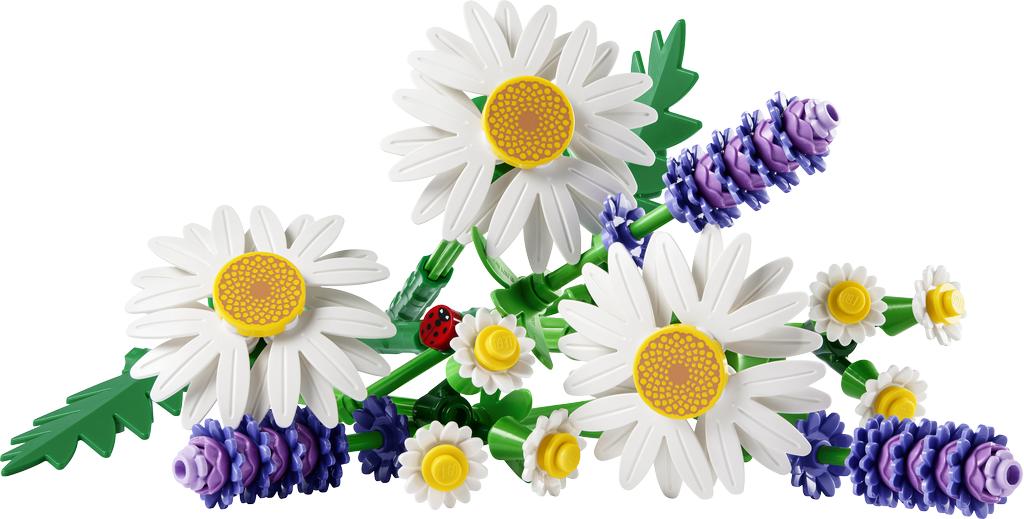 LEGO® Botanicals®, Daisies