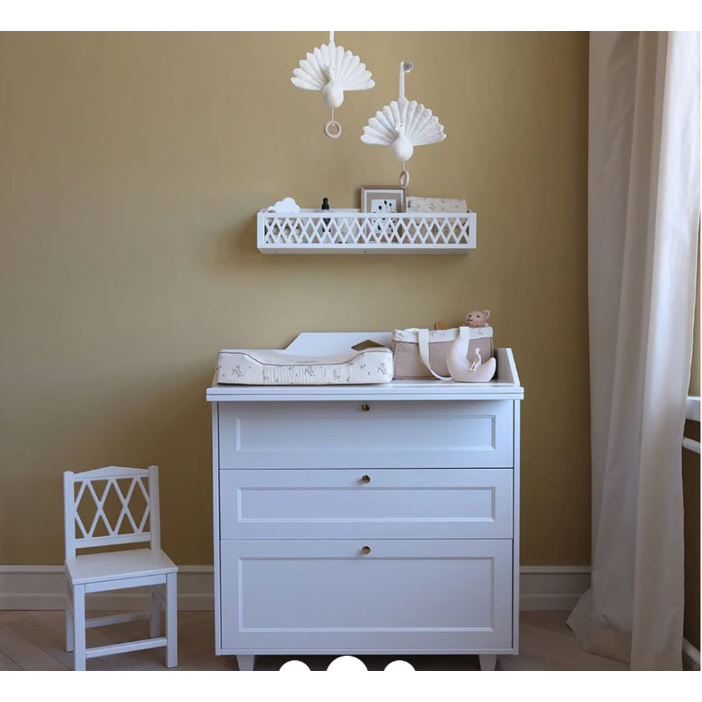 Cam Cam Storage for Changing Table, Asley