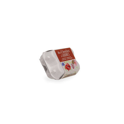 Moulin Roty, Set of 6 Seed Balls - Wildflowers