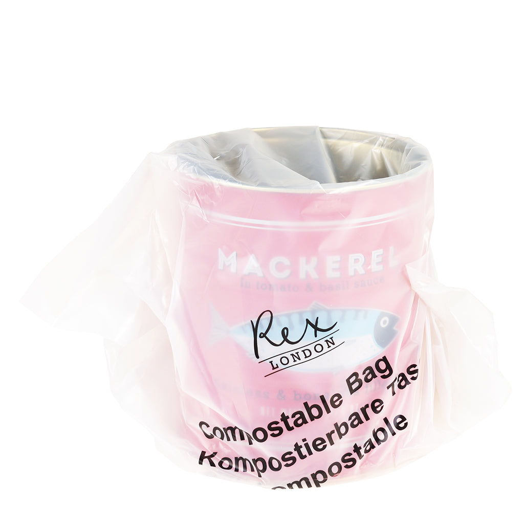 Rex London Medium Metal Storage Tins, Set of 2 - Fish