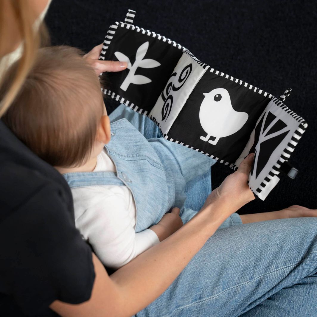 BABY Einstein Counting at the Farm™ Soft Activity Fabric Book