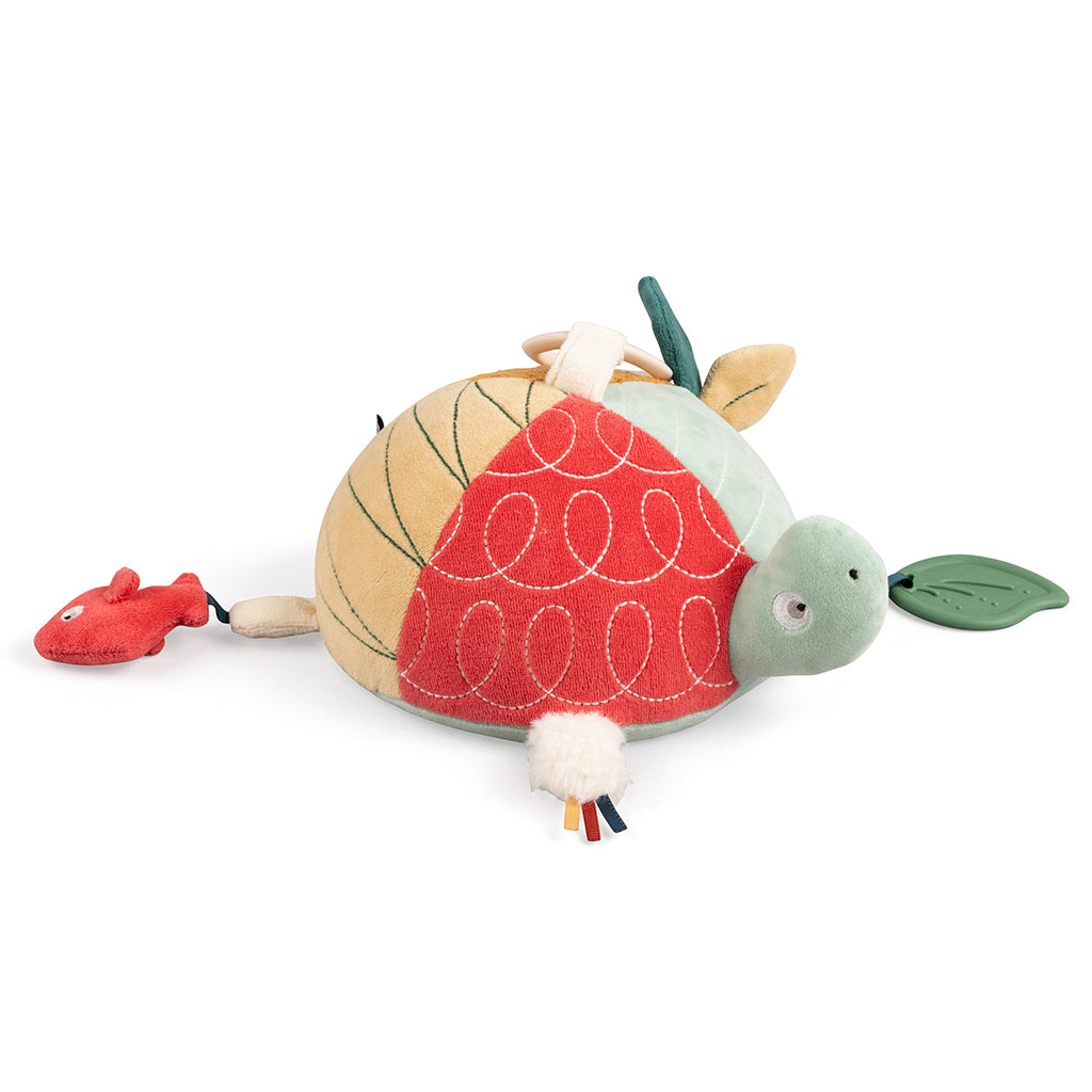Sebra Activity Toy, Turbo the Turtle