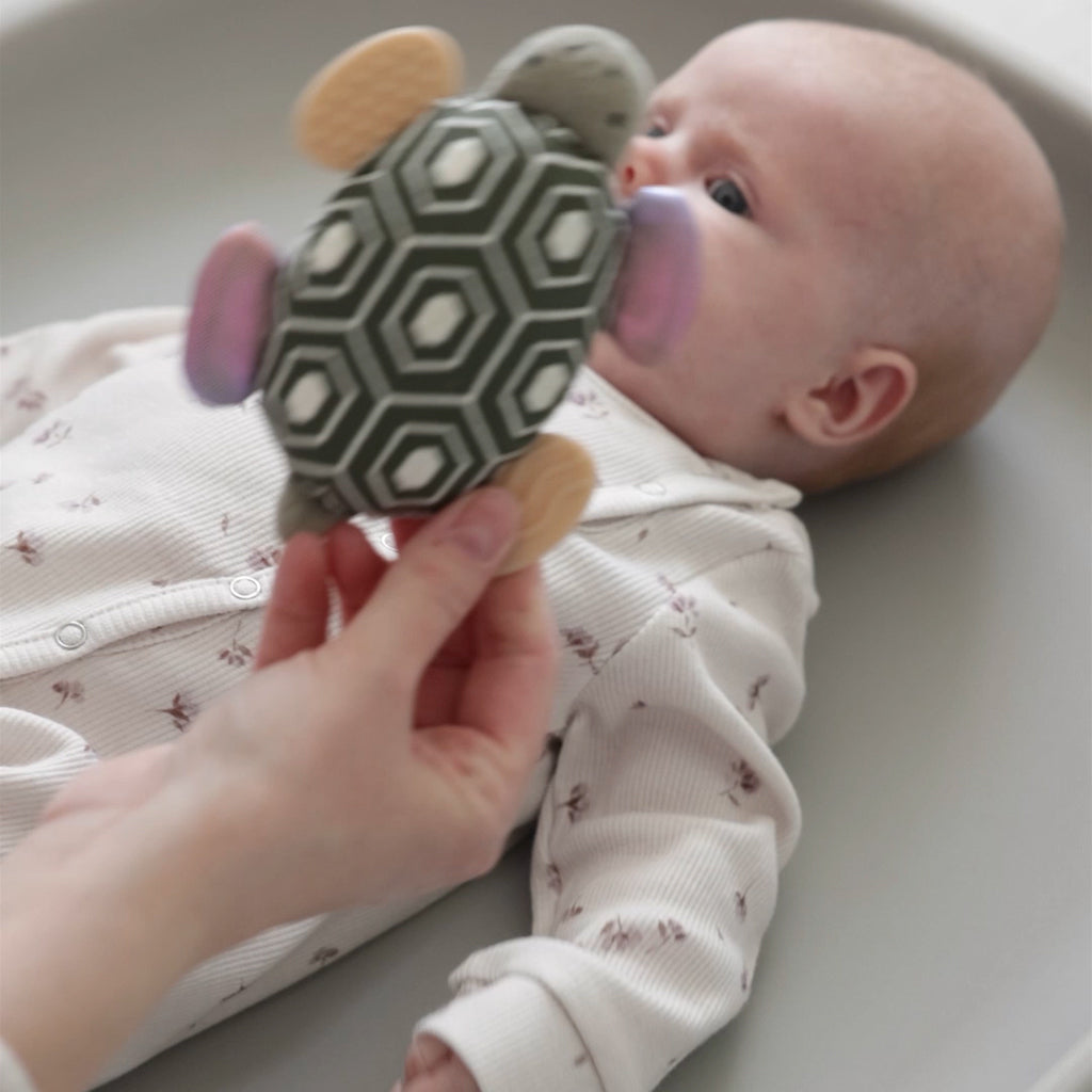 Sebra Activity Rattle with Mirror, Turbo the Turtle