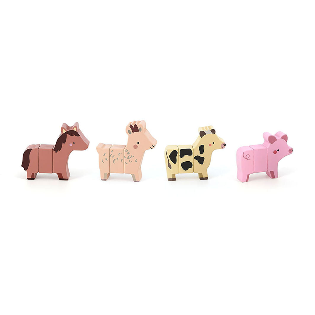 Vilac Magnetic Animals, 12 Pieces
