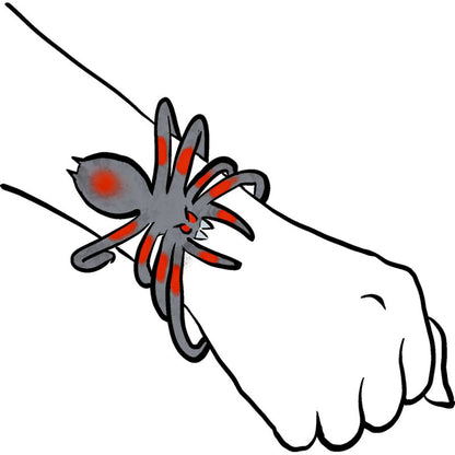 Wild+ Cool, Bendable Spider, Assorted Colours