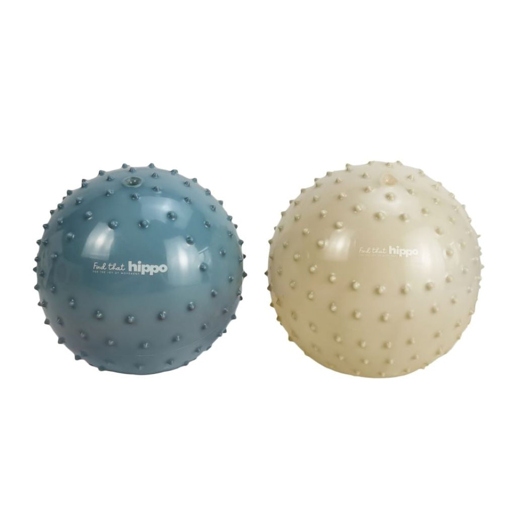 Explore the Find that Hippo Sensory Balls, Metallic Blue &amp; Khaki
