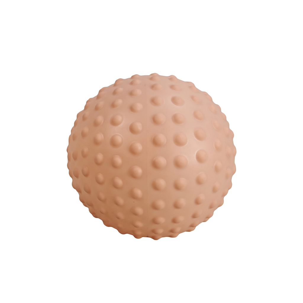 Find that Hippo, Squeaky Toy, Large - Desert Sand