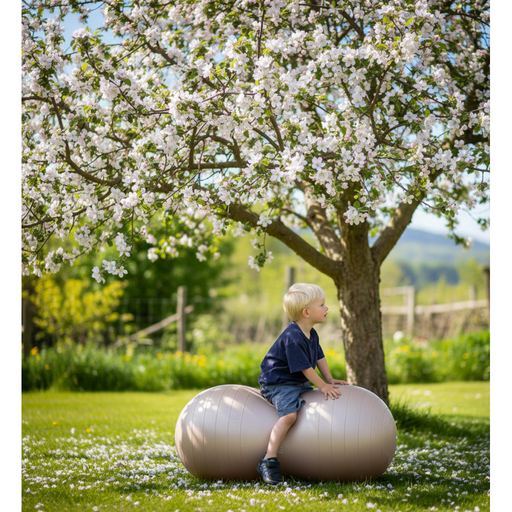 Find that Hippo Peanut-Shaped Balance Ball, Dark Grey