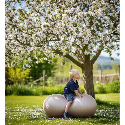 Discover the Hippo Peanut-Shaped Balance Ball in Morning Blue