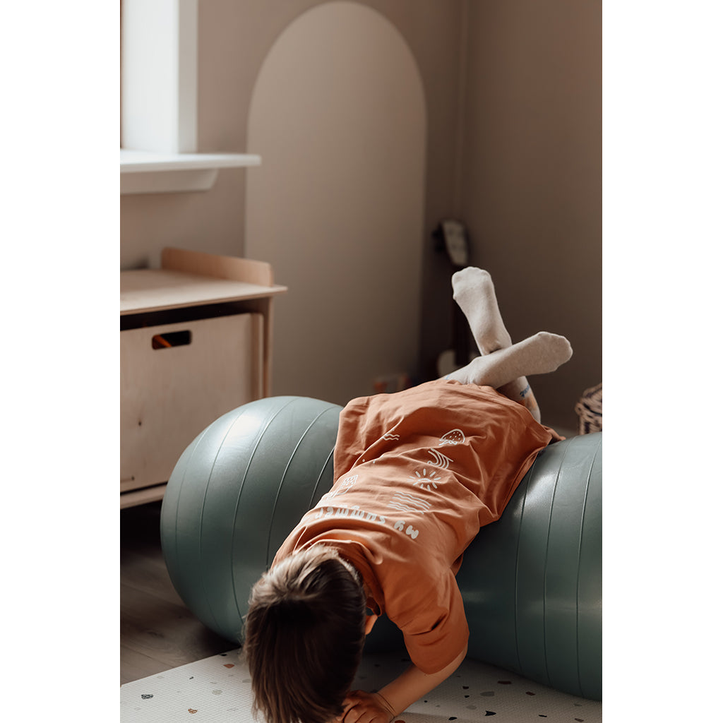 Discover the Hippo Peanut-Shaped Balance Ball in Morning Blue