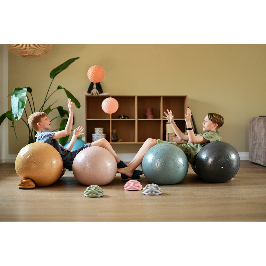 Find that Hippo Peanut-Shaped Balance Ball, Dark Grey