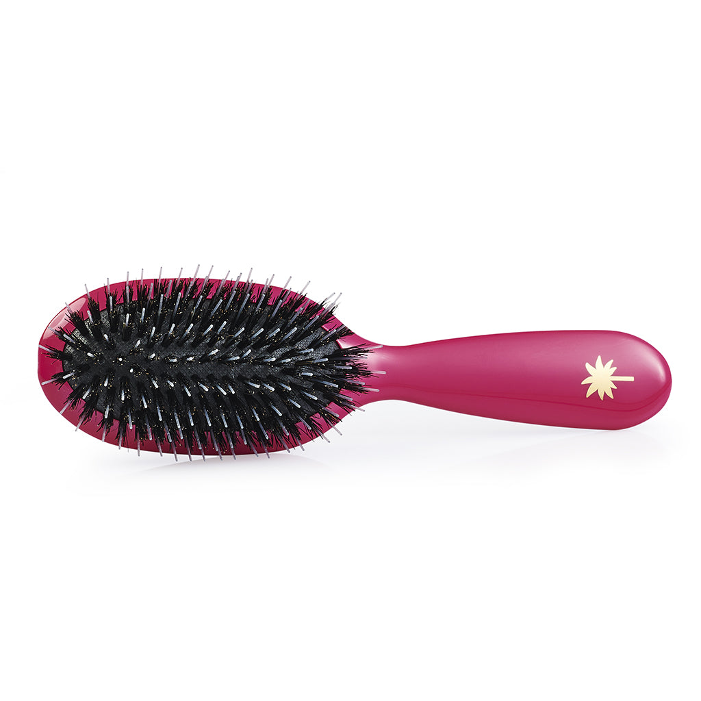 Fan Palm Hairbrush, Boar and Nylon Brushes, Sweet Pea - Hot Pink