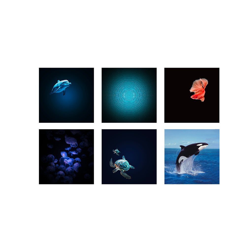 Kidystar, Rotating Image Projector - Ocean/Sea Theme