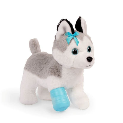 Pucci Pups Husky at the Vet
