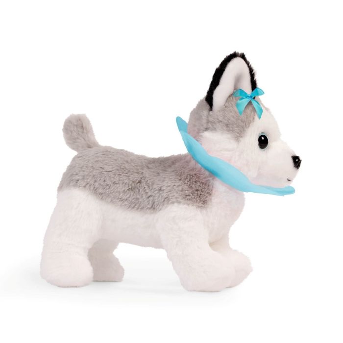 Pucci Pups Husky at the Vet
