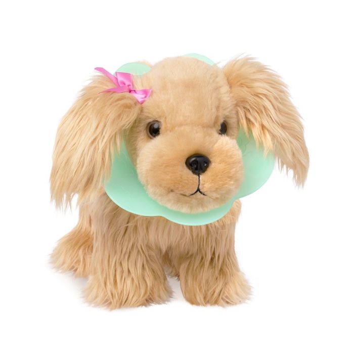 Pucci Pups Veterinarian Cocker