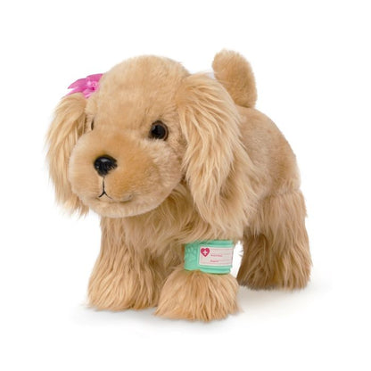 Pucci Pups Veterinarian Cocker