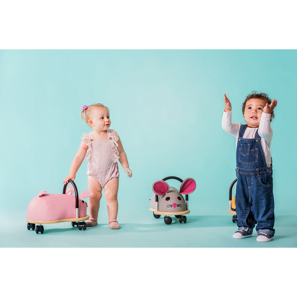 Wheely Bug, Ladybug - Small