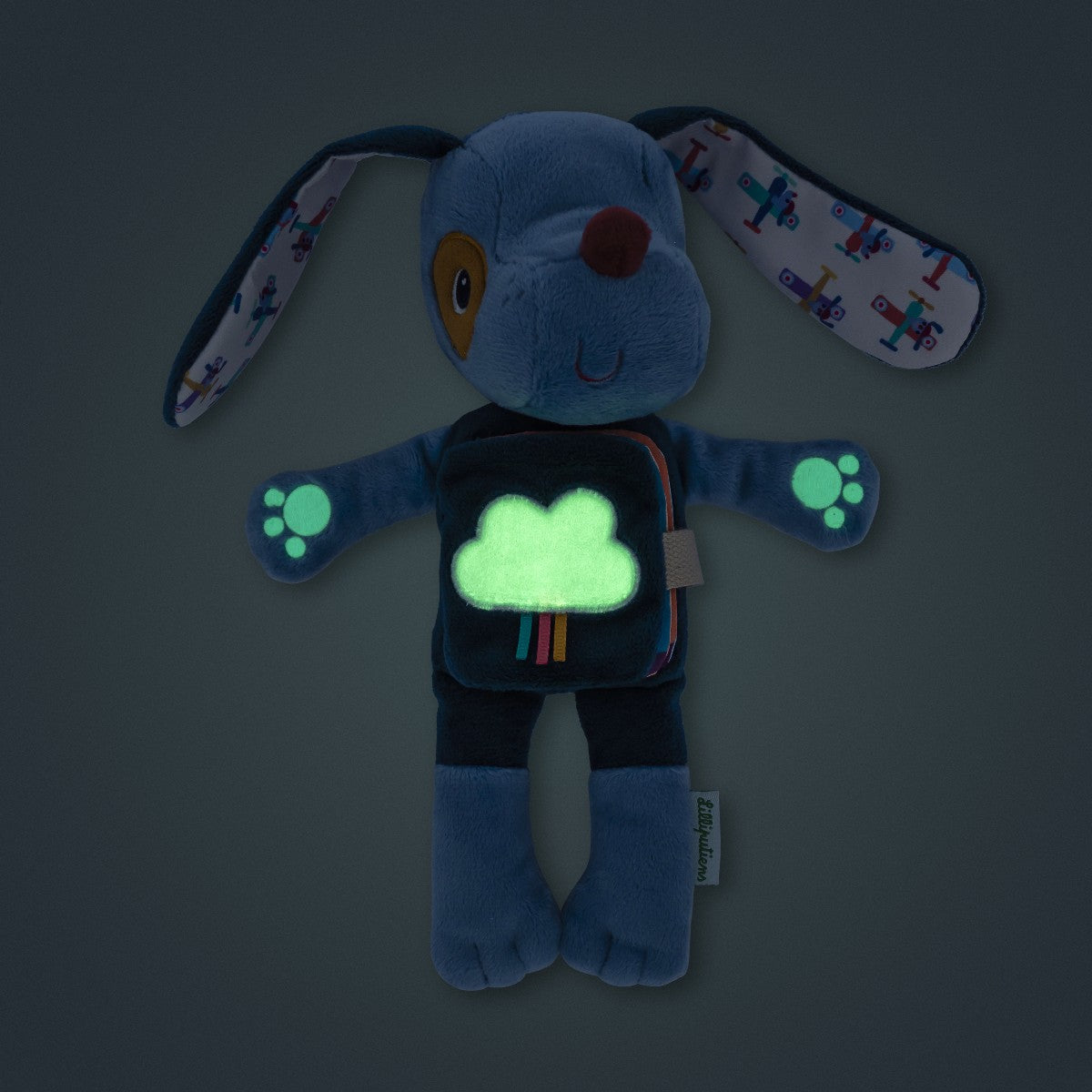 Lilliputiens Activity Book, Jules&