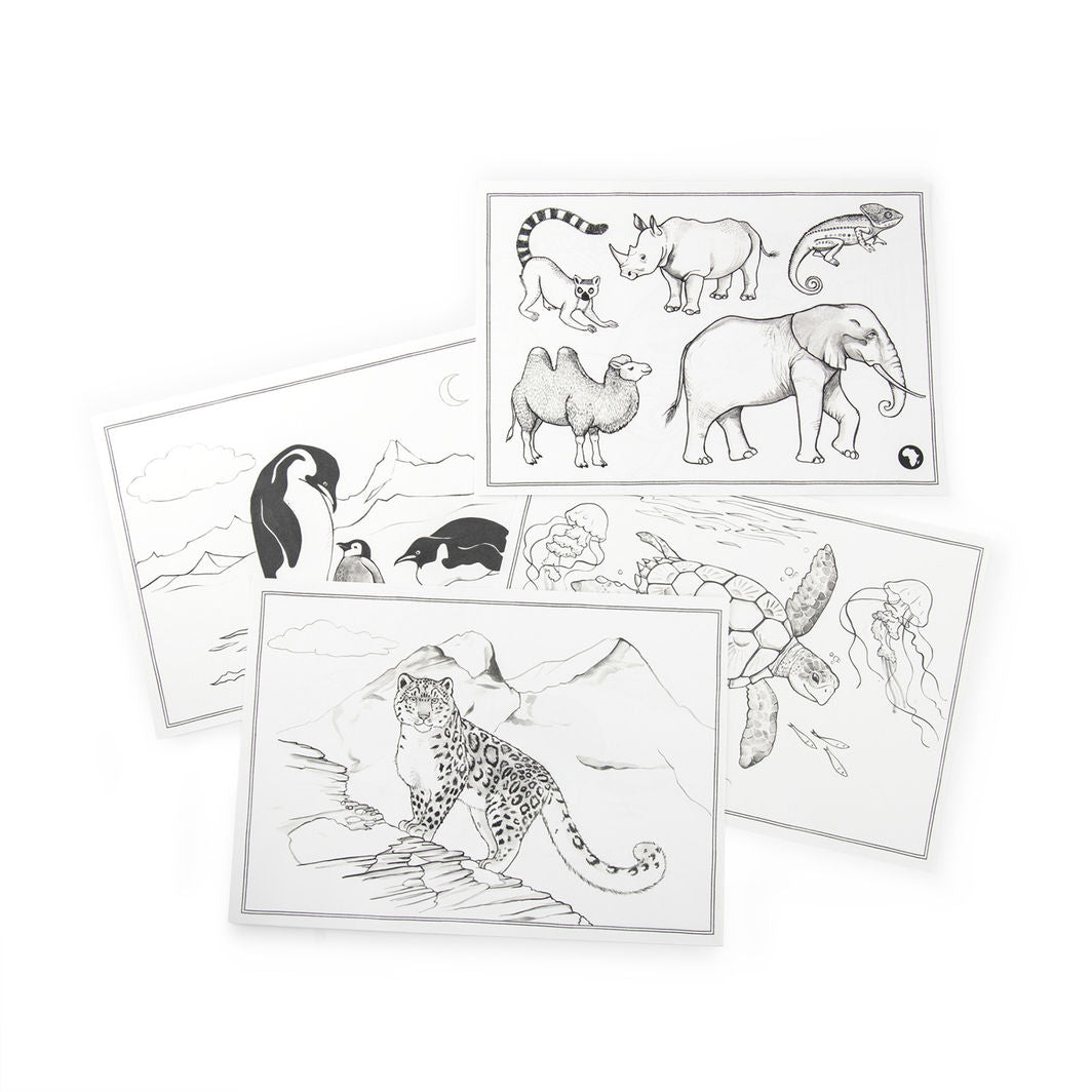 Moulin Roty - Kidywolf Drawing Templates, 24 pcs - Tout autour du monde
