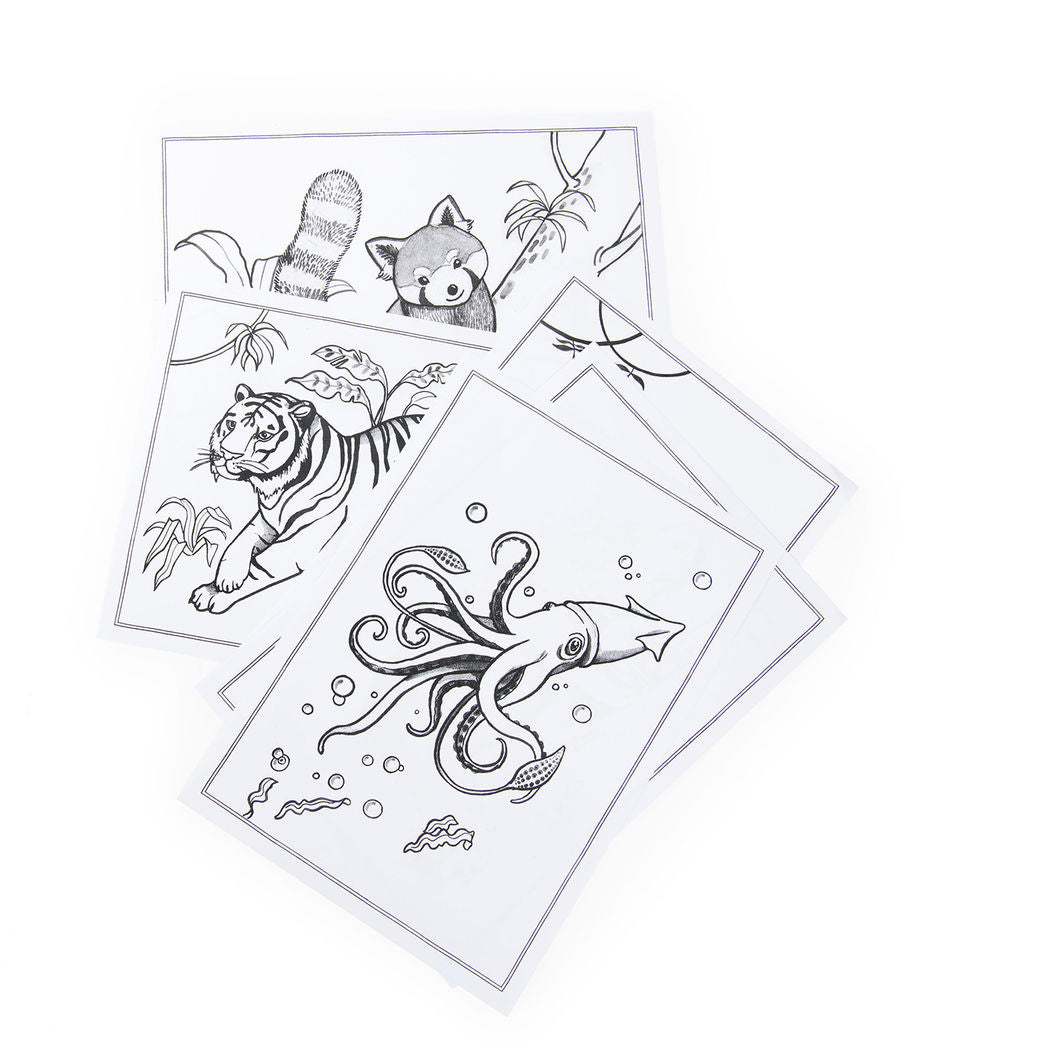 Moulin Roty Light-Up Drawing Board, Tout autour du monde