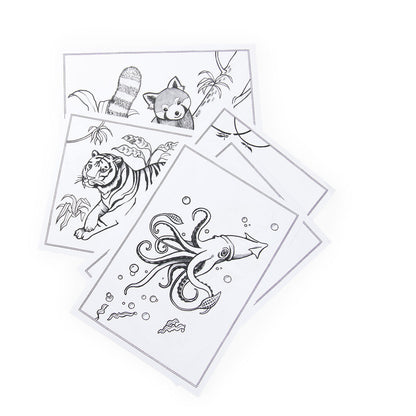 Moulin Roty Light-Up Drawing Board, Tout autour du monde