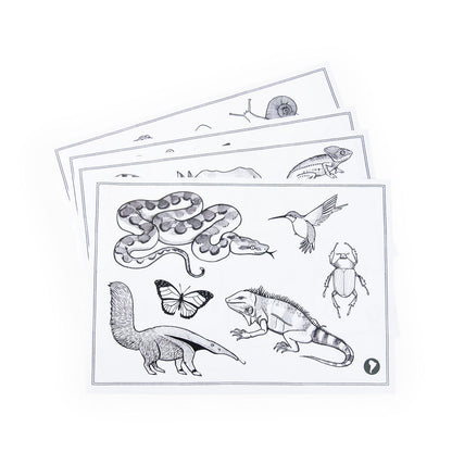 Moulin Roty Light-Up Drawing Board, Tout autour du monde