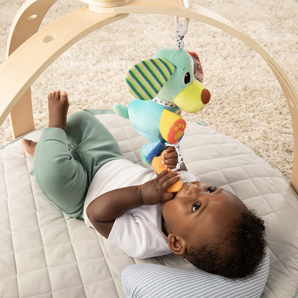 Lamaze Pupsqueak, Sound-Enabled Dog Toy