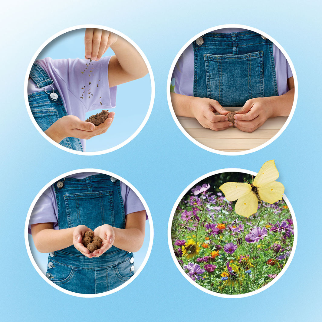 SES Creative, Seed Balls - Butterflies