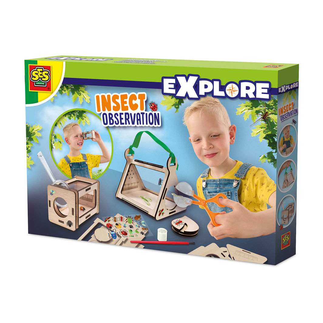 SES Creative Insektstudie