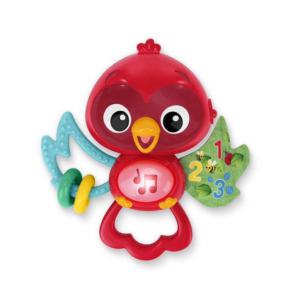 BABY Einstein Activity Toy with Hanging Attachment, Roxy&