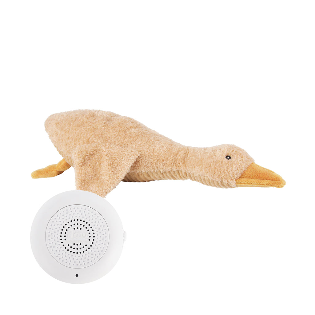 Flow Amsterdam Heartbeat Teddy, Rechargeable, Liva - Brown