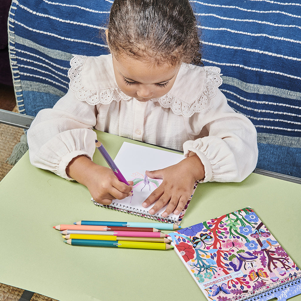 eeBoo 6 Double-Ended Jumbo Colored Pencils, Butterfly Collection