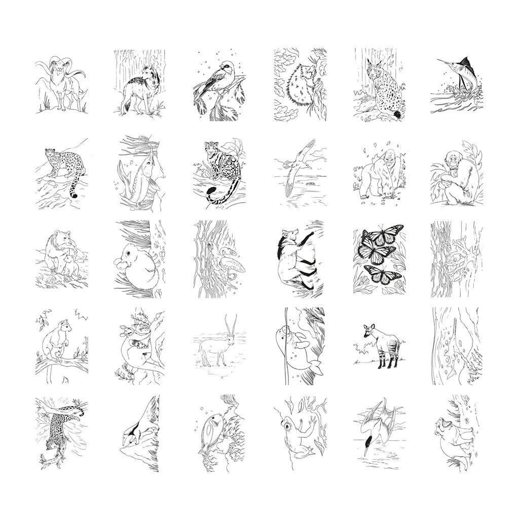 Kidywolf Kidydraw, Drawing Board with Light and Animal Stencils