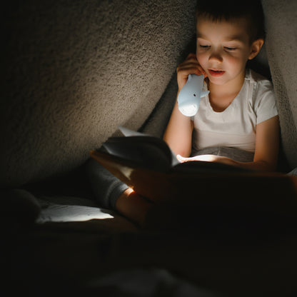Little L, Silicone Flashlight - Dolphin