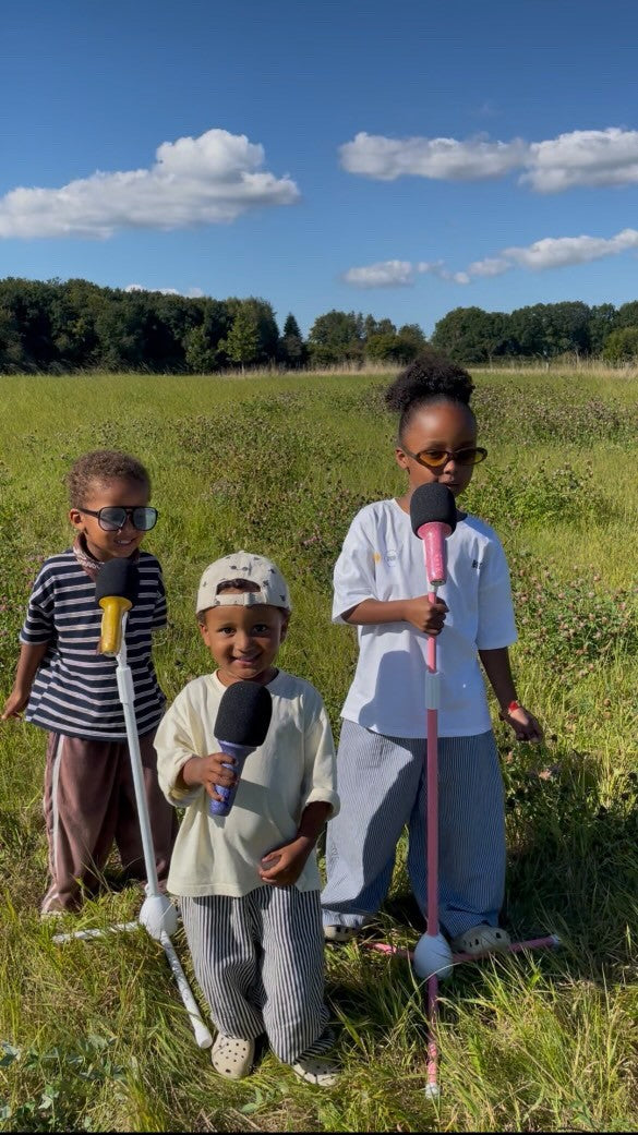 Lalarma Floor Stand, Microphone Stand - Pink