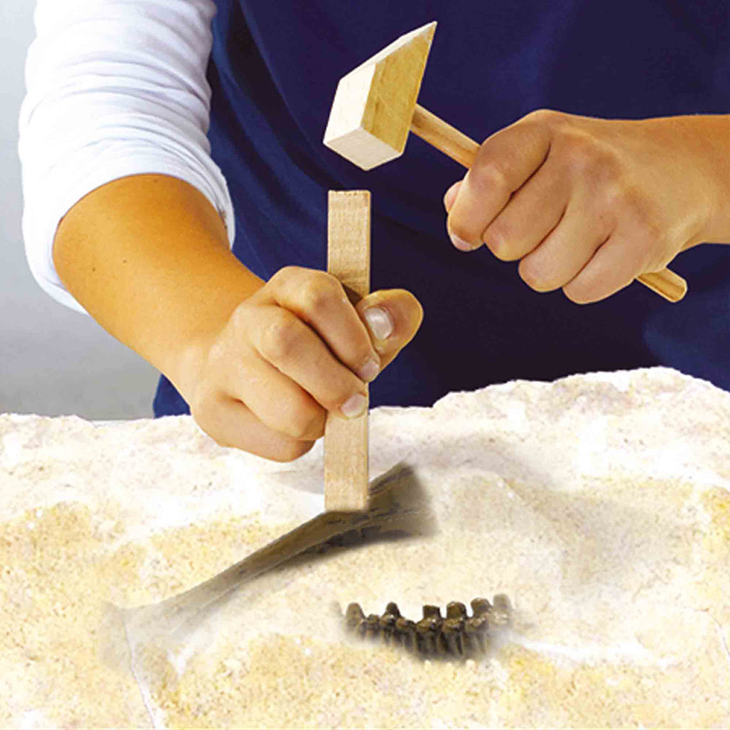 SES Creative, Explore, Excavation Kit – Triceratops and Skeleton