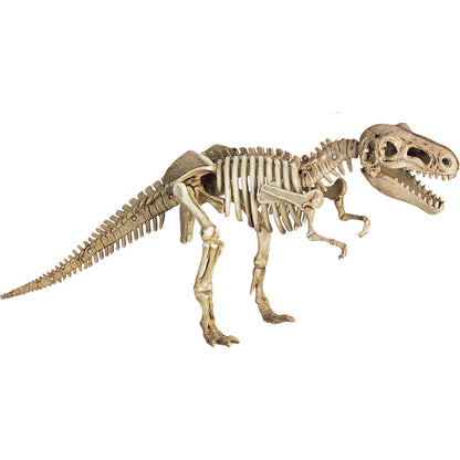 Spiegelburg Excavation Kit - T-Rex