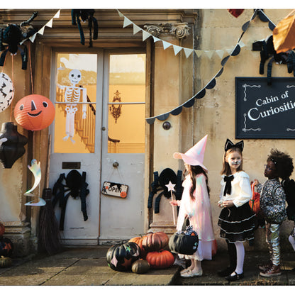 Meri Meri Dress-Up, Cat Costume - Ages 3-6