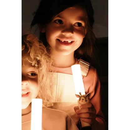 The ZooFamily, Zoo Light, Flashlight - Koala
