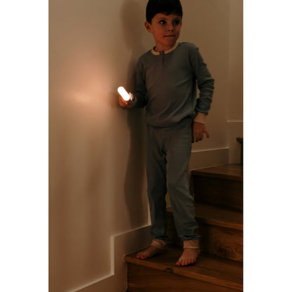 The ZooFamily, Zoo Light, Flashlight - Koala