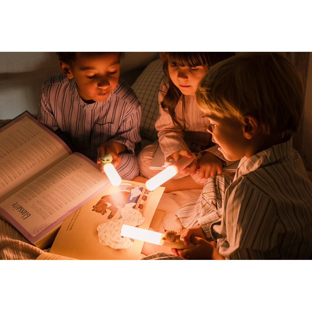 The ZooFamily, Zoo Light, Flashlight - Dino