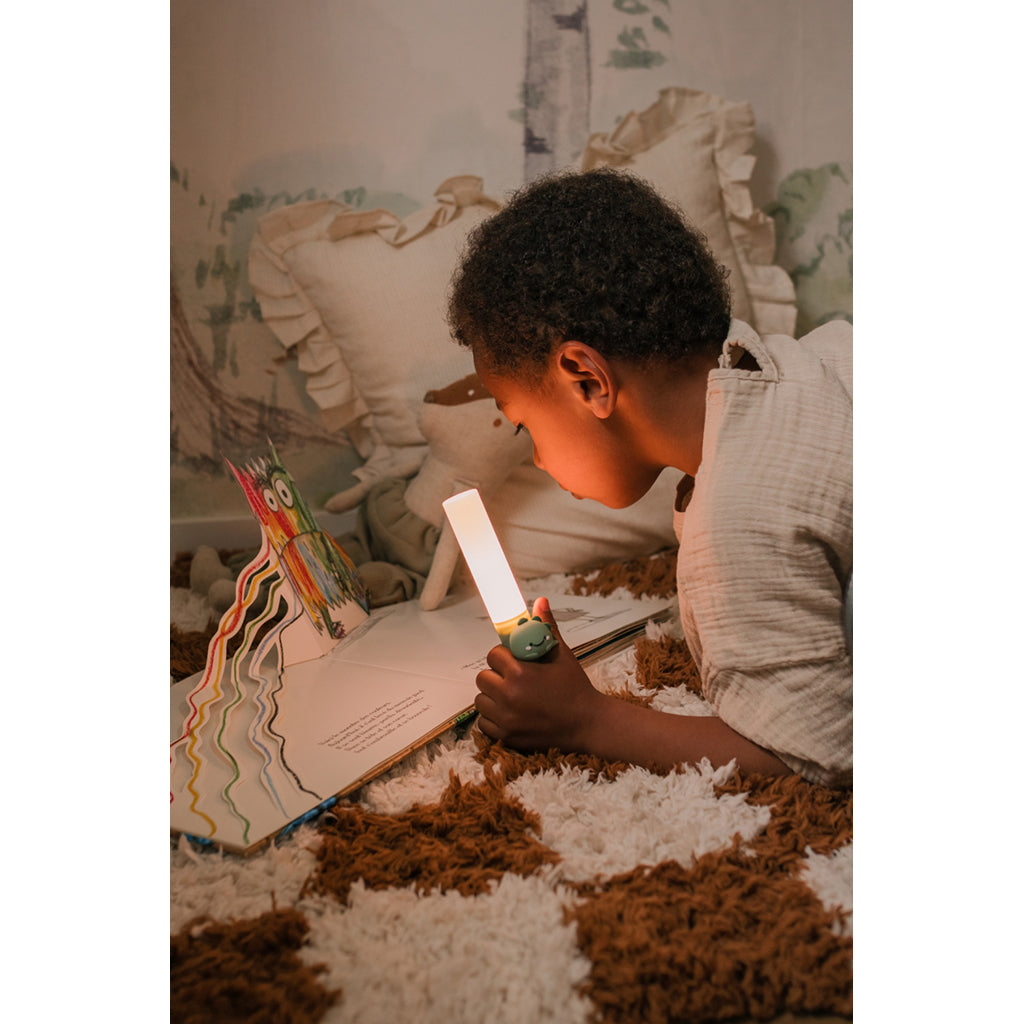 The ZooFamily, Zoo Light, Flashlight - Dino