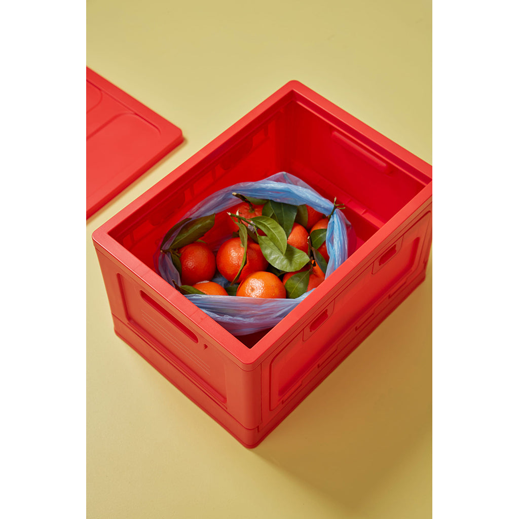 Studio About, Large Box - Red
