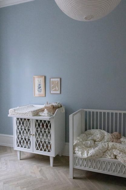 Cam Cam puslekurv, Økologisk, OCS - Blueberries