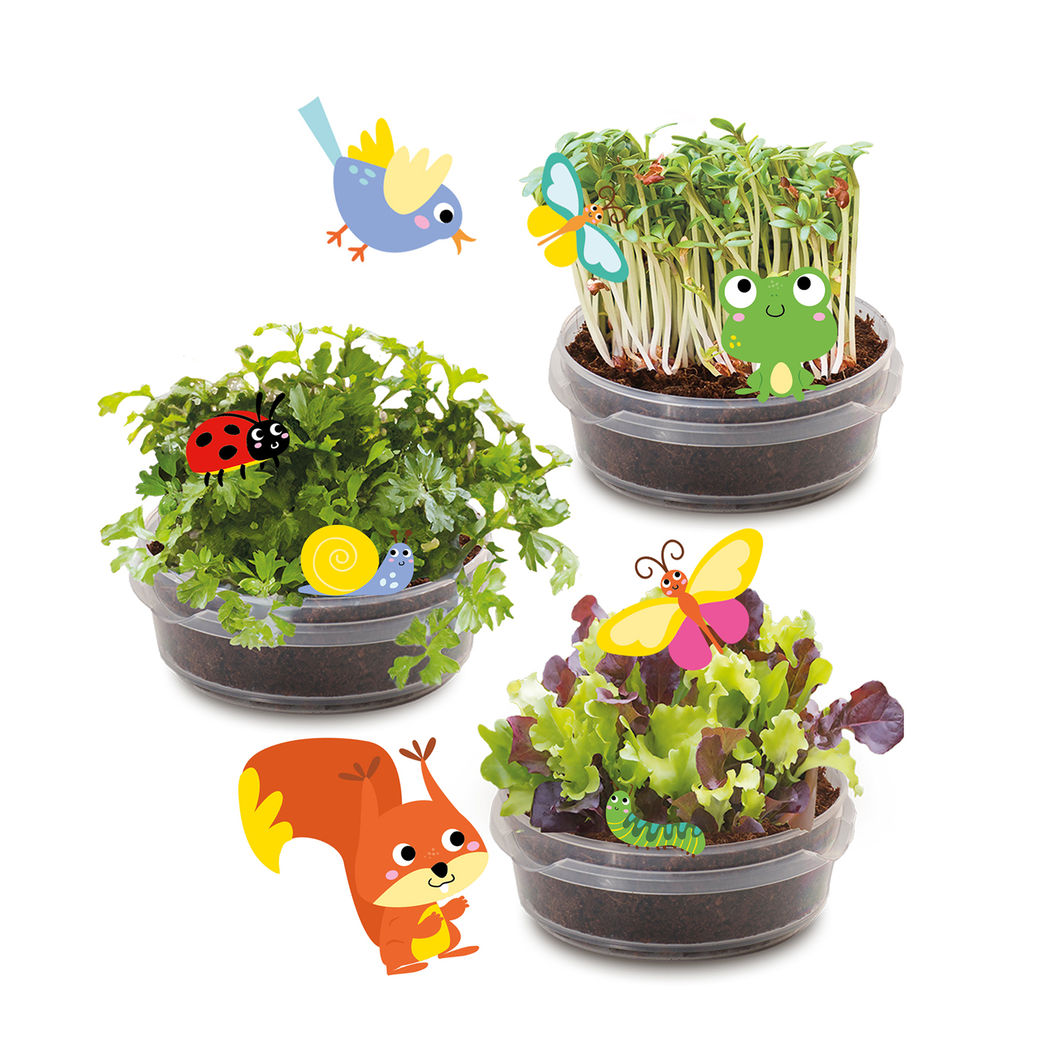 SES Creative DIY Herb Garden House