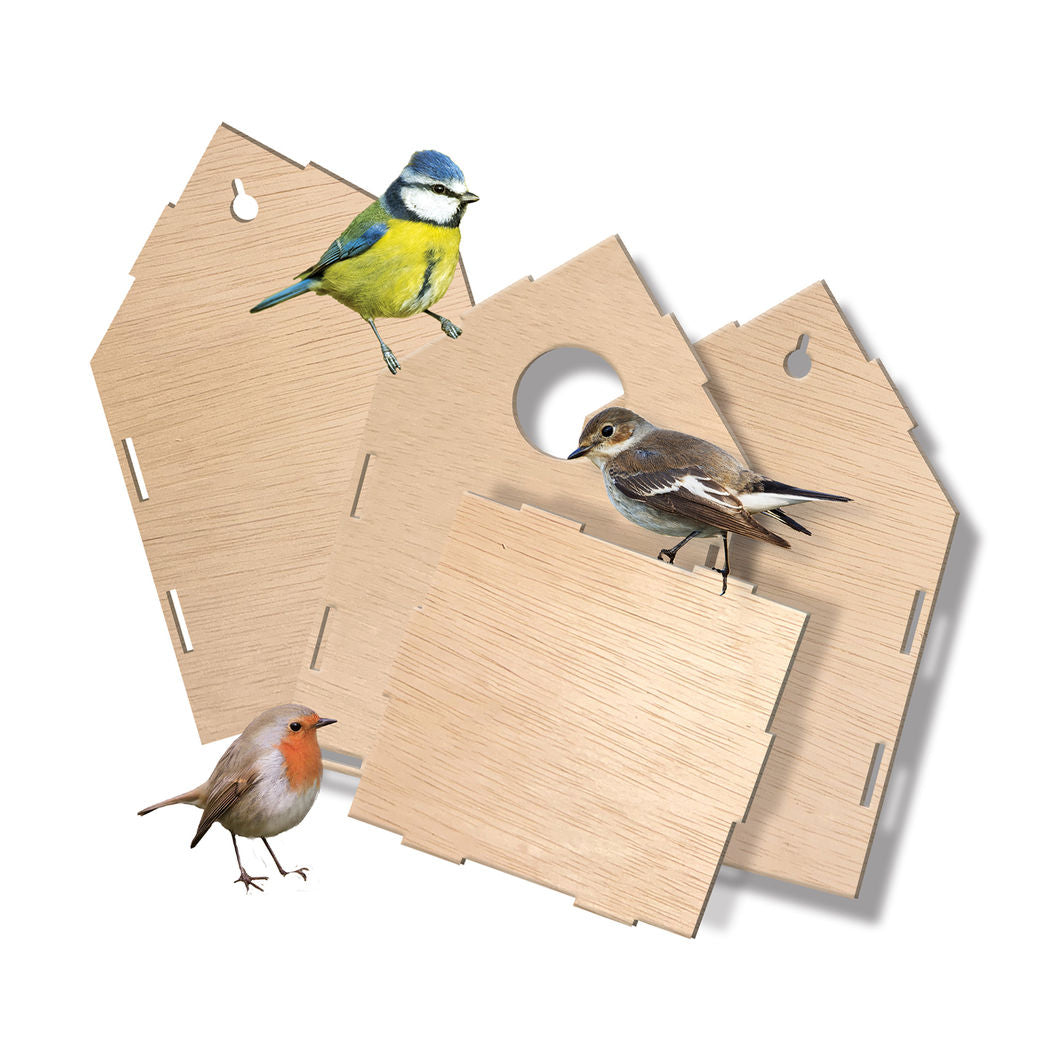 SES Creative, Build Your Own - Birdhouse