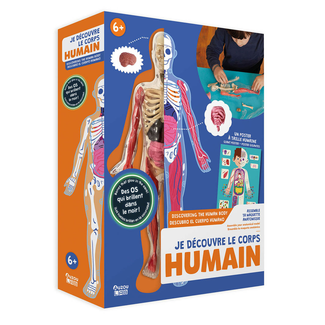 Auzou Activity Box, Exploring the Human Body