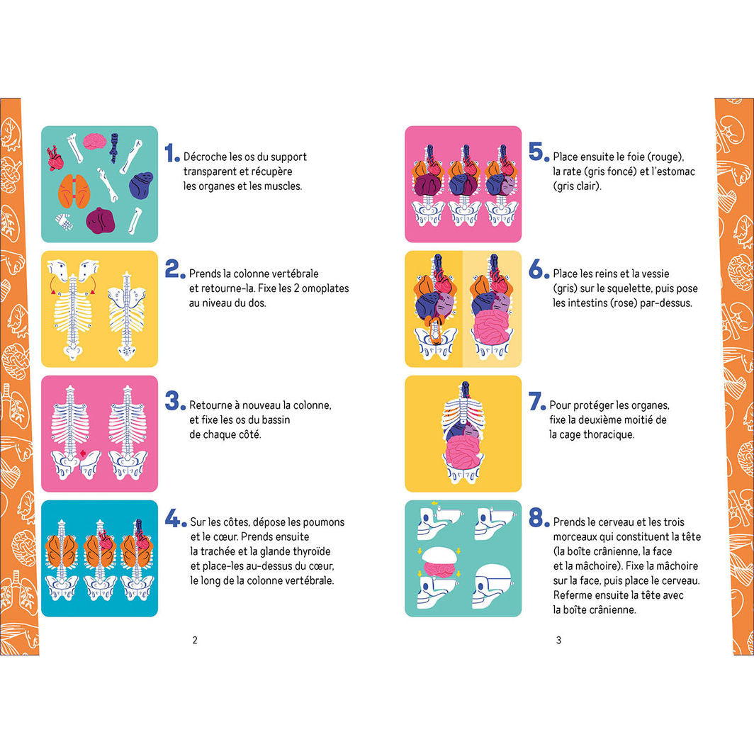 Auzou Activity Box, Exploring the Human Body